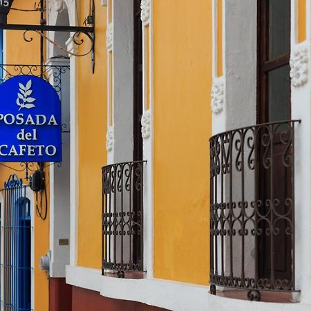 Posada del Cafeto Xalapa Exterior foto