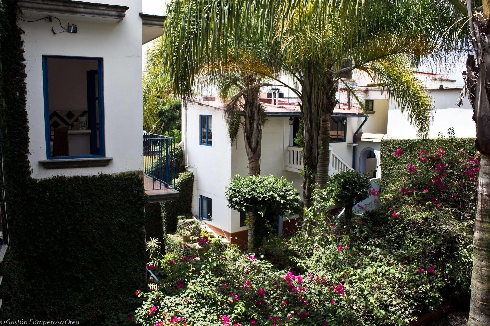 Posada del Cafeto Xalapa Exterior foto
